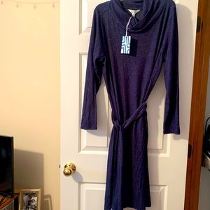 BNWT market & spruce dress!